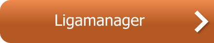 Ligamanager