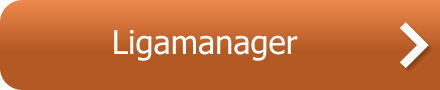 Ligamanager