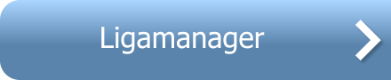 Ligamanager